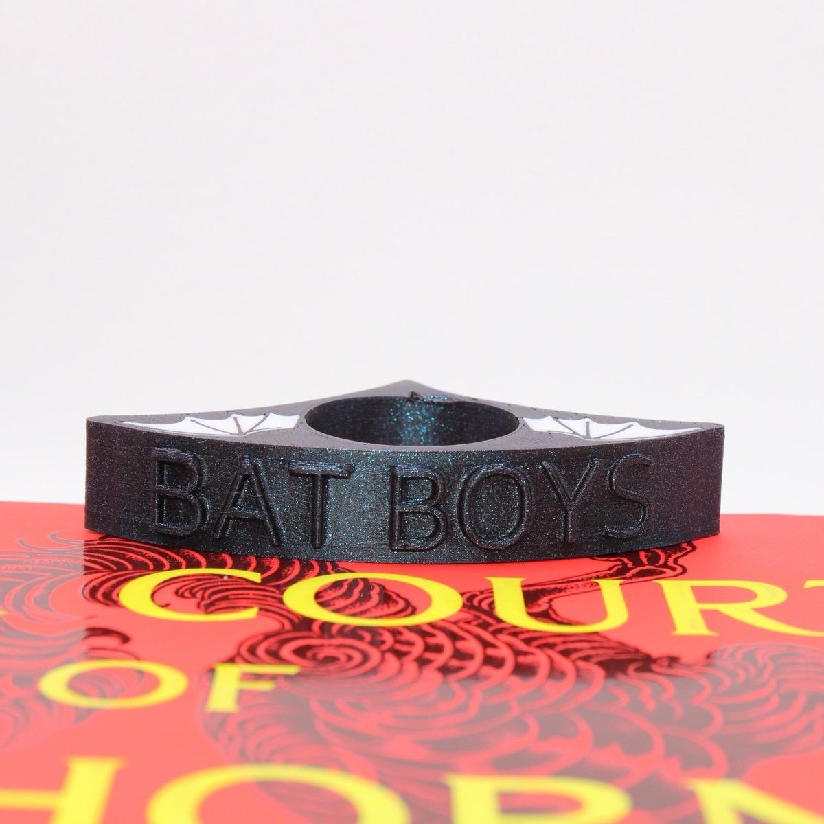 ACOTAR Themed One Handed Book Page Holder | Ergonomic | BookTok | Wingspan | Bat Boys