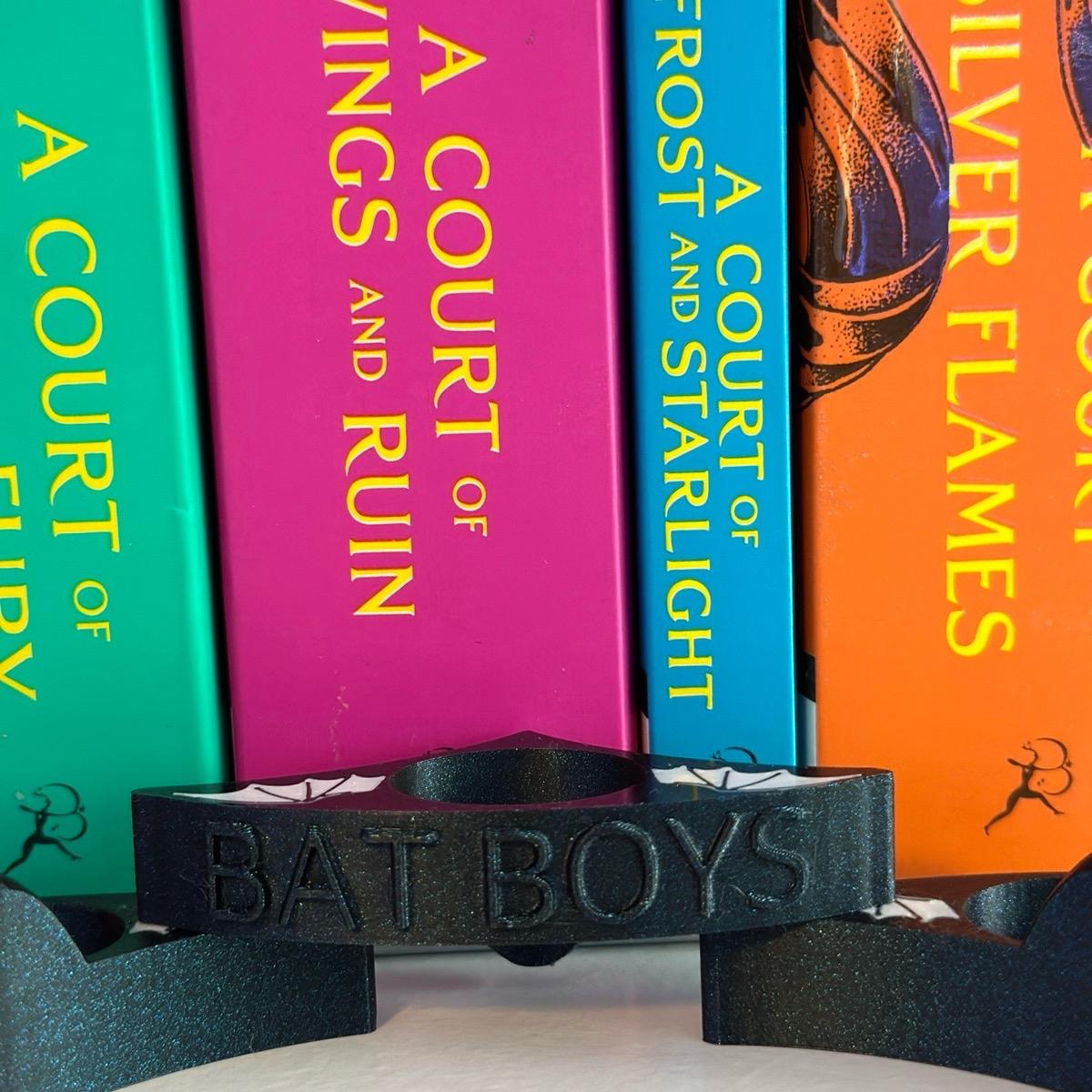 ACOTAR Themed One Handed Book Page Holder | Ergonomic | BookTok | Wingspan | Bat Boys